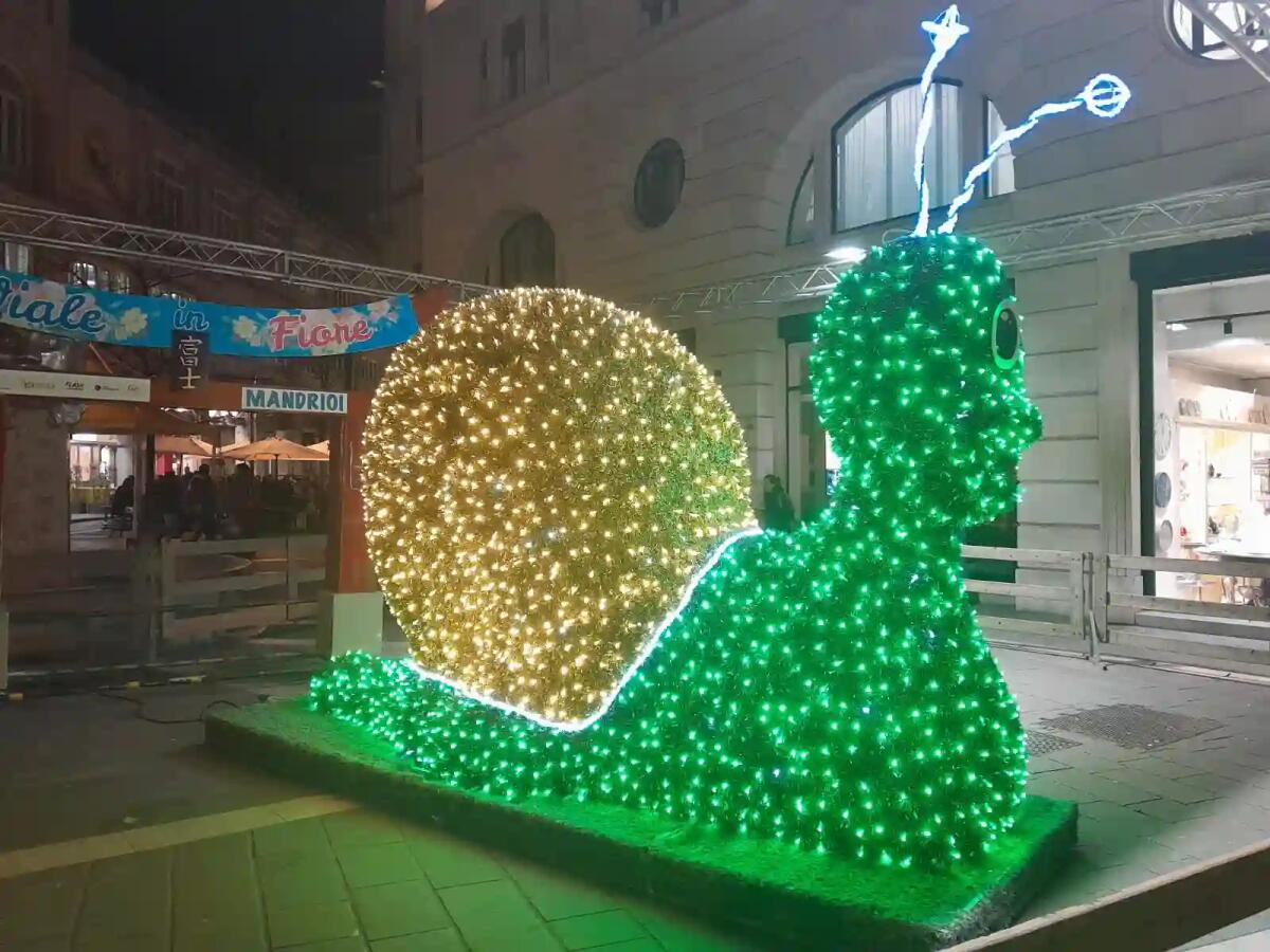 "Trieste in Fiore e Delizie di Primavera": ecco il trionfo di Colori e Profumi in Città - 