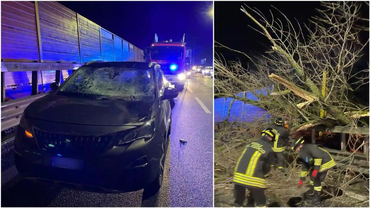 Albero piomba su un'auto in transito lungo la Tangenziale: tragedia sfiorata -