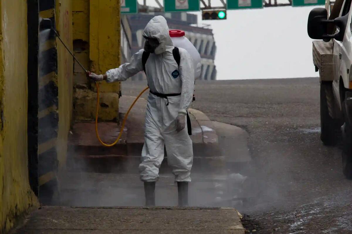 L'importanza delle Disinfestazioni in città turistiche come Venezia - 