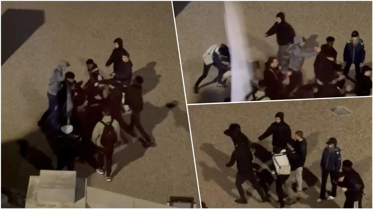 Tensione in centro, nuova rissa tra giovani a Udine: volano calci e pugni - VIDEO - 