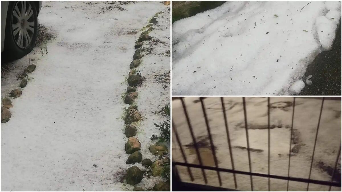 Treviso, le Colline del Prosecco martoriate dalla grandine: danni a vigneti e frutteti - 