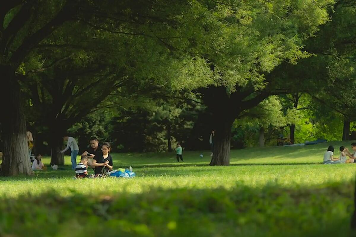 Dove andare a Pasquetta in FVG: ecco le migliori aree per grigliate e picnic - 