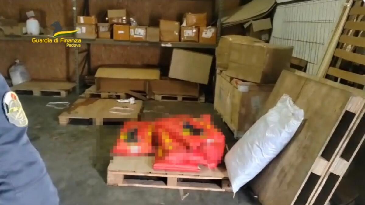 Cibo scaduto, insetti e roditori nel magazzino che rifornisce i ristoranti: sequestrato - 