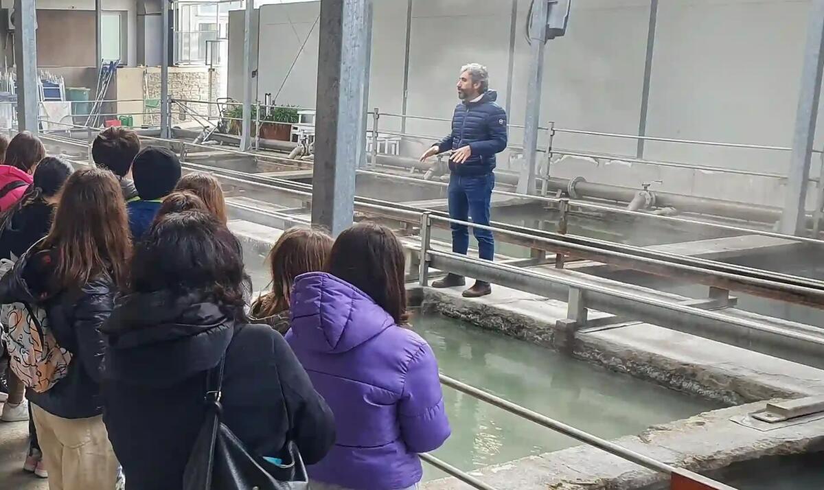 Oltre 300 alunni a lezione di termalismo: un viaggio educativo nelle terme di Abano e Montegrotto -