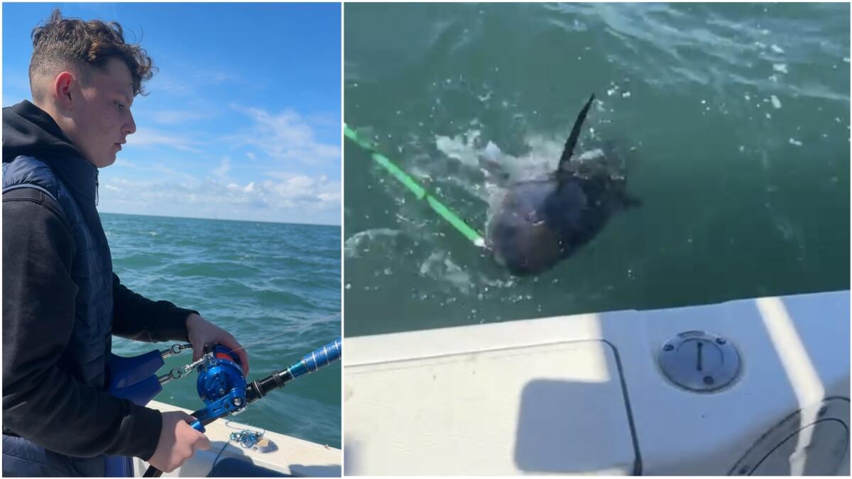 Pesca un tonno di 60 kg al Campionato italiano: in finale un 13enne friulano - 