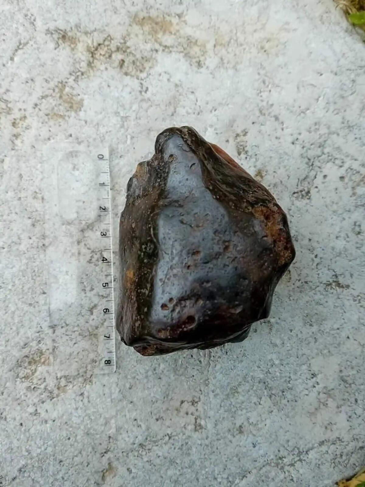 Un meteorite nei boschi di Dardago. Ecco cosa dicono gli esperti - 