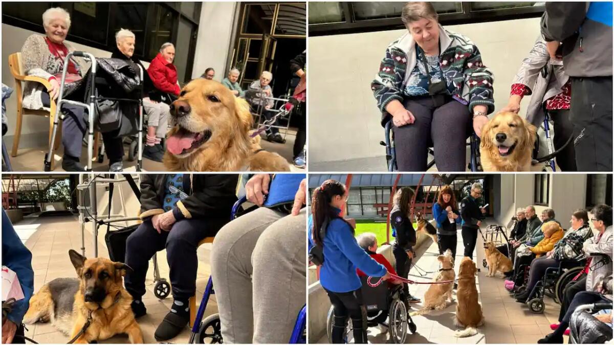 Il potere di una carezza: la Pet Therapy arriva all’Rsa di Gemona - 