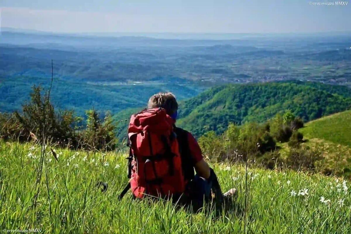 Valli Torre Natisone, i Sentieri delle Pro Loco: un viaggio attraverso natura e tradizione - 