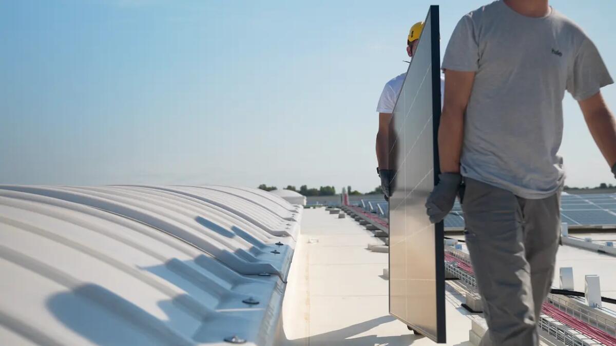 Impianto fotovoltaico, un'azienda veneta forma i futuri esperti: come candidarsi -