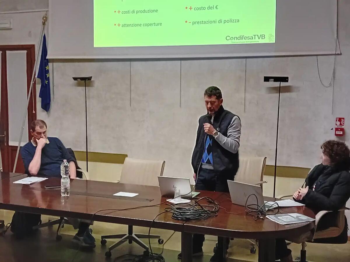 Agricoltura, Marca Trevigiana al primo posto a livello nazionale per capitale assicurato - 