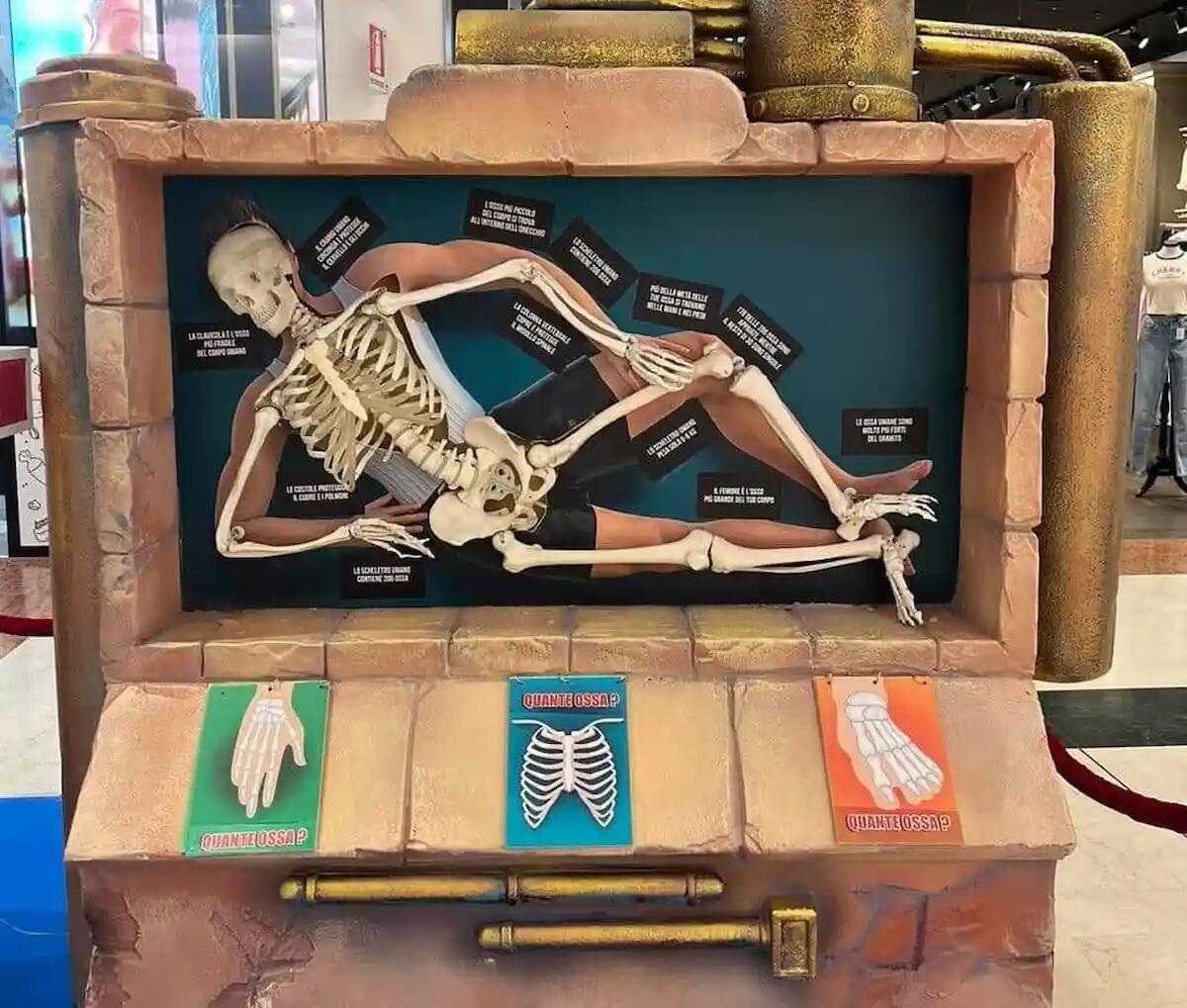 Le Brentelle, a Rubano (PD) "Human Body", mostra interattiva sul corpo umano per bambini e ragazzi - 