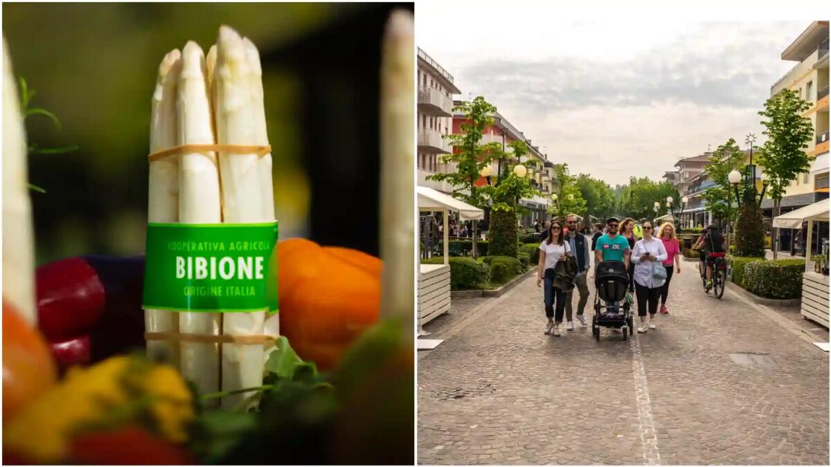 Al via oggi il contest Asparago d’Oro. Grande attesa per Bianco Weekend 2024 a Bibione - 