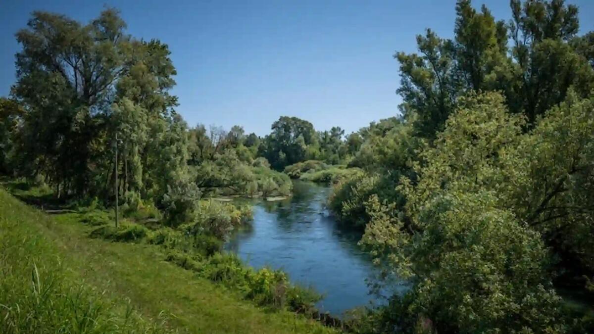 Il Contratto di Fiume Noncello: un percorso partecipato verso la salvaguardia ambientale - 