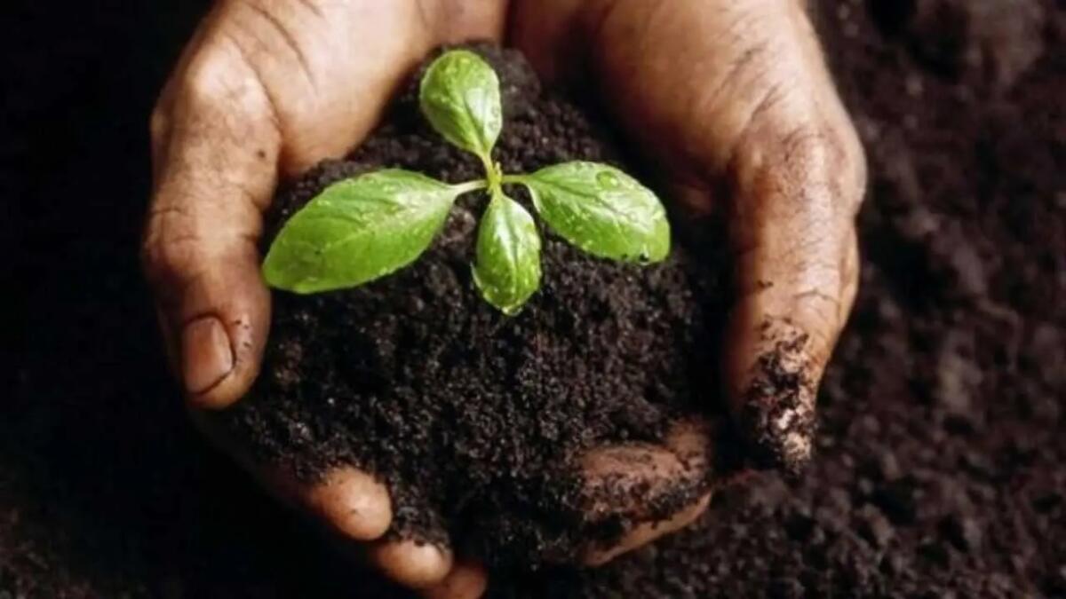 Confagricoltura Fvg organizza incontri per agricoltori sulla Direttiva Nitrati - 