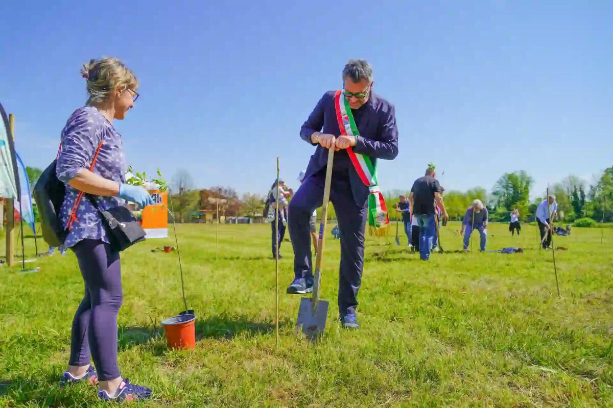 800 alberi per un nuovo polmone verde in Veneto: ecco dove -
