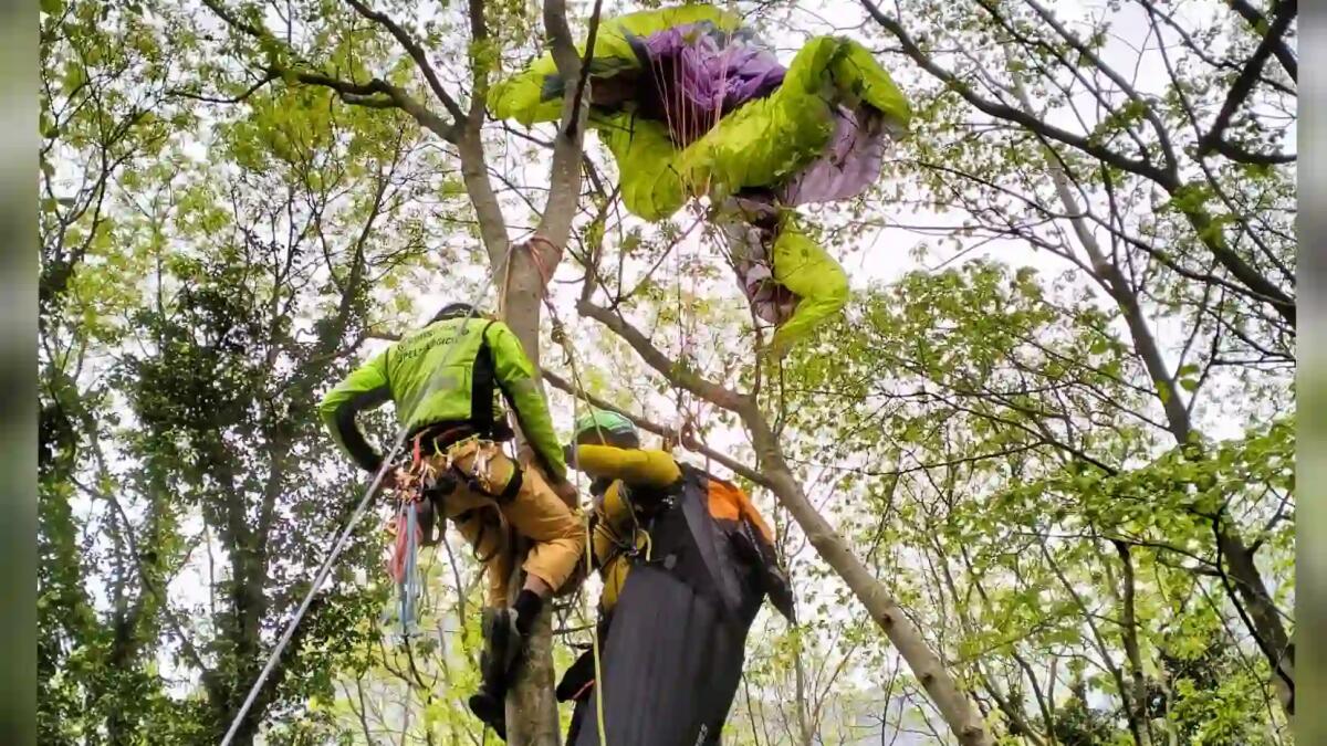 Parapendista 45enne precipita e rimane impigliato su un albero: miracolato - 