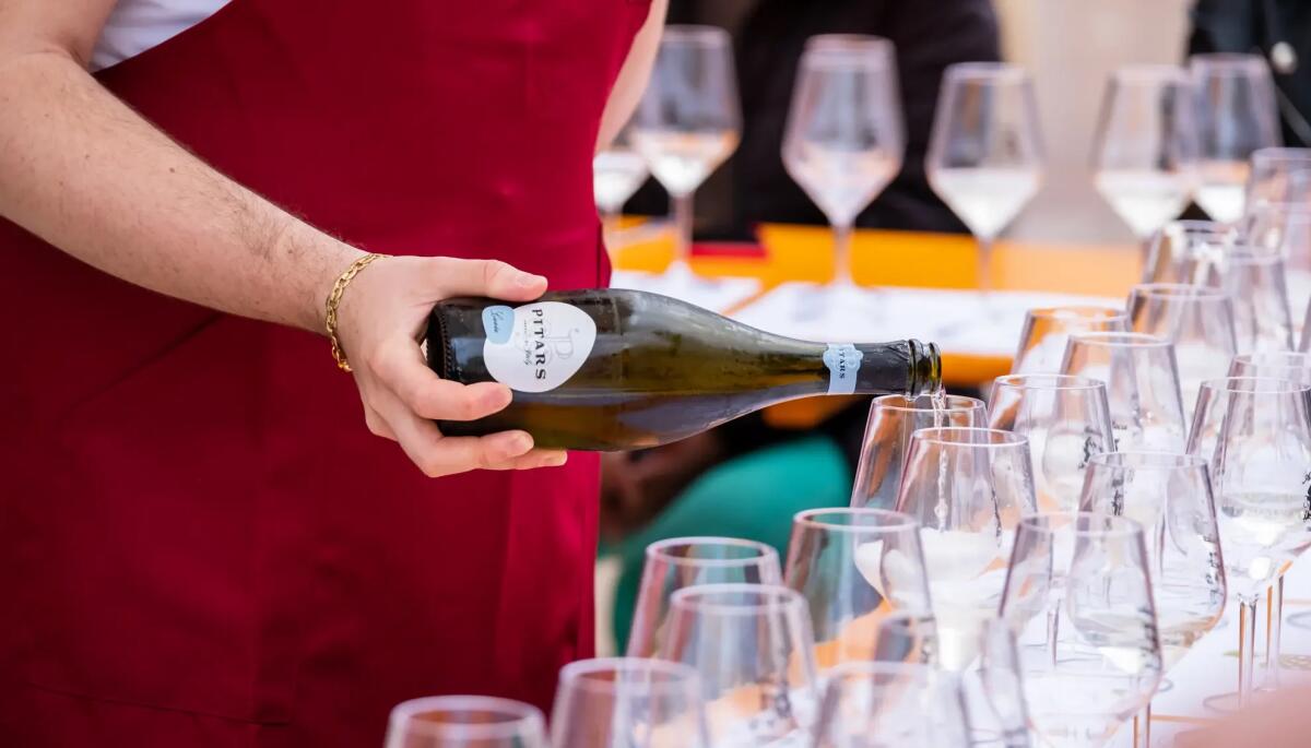 Sagra del Vino di Casarsa, il programma eventi del 30 aprile, 1 e 2 maggio: strepitoso - 