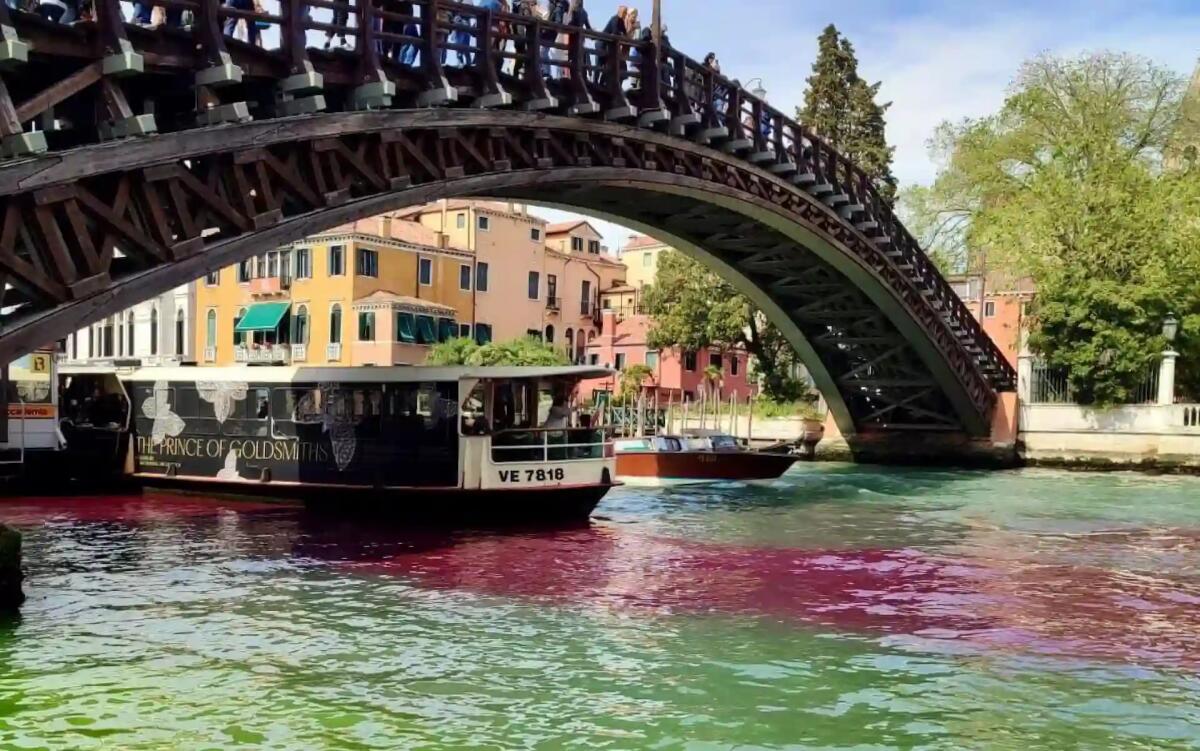Venezia. Canal Grande di tinge di rosso e verde: fermati due francesi - 