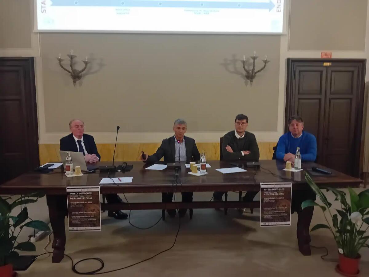 Grandine luglio-agosto 2023: indennizzi per 6,2 milioni agli agricoltori del Veneto orientale -