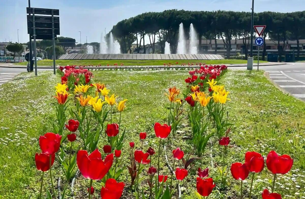 Lignano Sabbiadoro fiorisce: arrivate le nuove essenze per decorare le aiuole cittadine - 