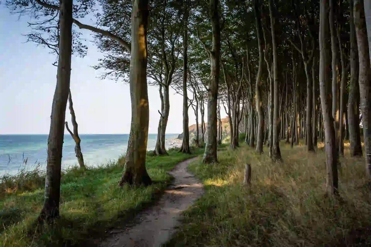 Alla scoperta del Friuli: 8 sentieri imperdibili da percorrere ad Aprile - 