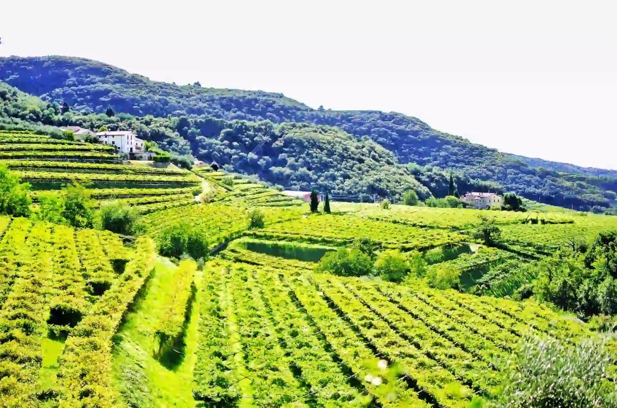 L'incantevole borgo che dovresti assolutamente visitare in Primavera -