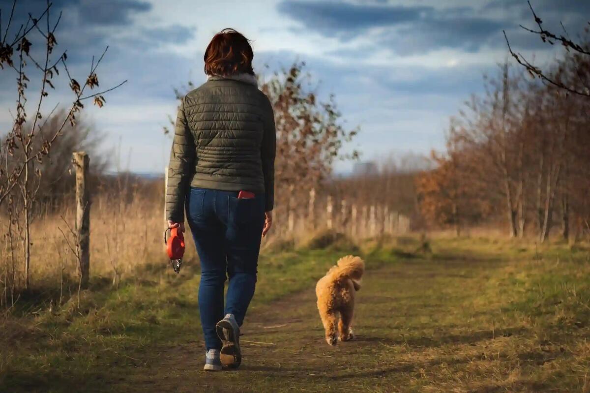 Presentazione del nuovo percorso di benessere ad Aquileia: “10mila passi tra natura e laguna” - 