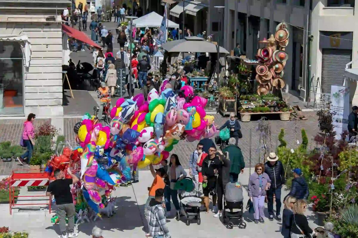 Dove andare, cosa fare a Monfalcone il 27 e 28 aprile 2024. La guida agli eventi - 