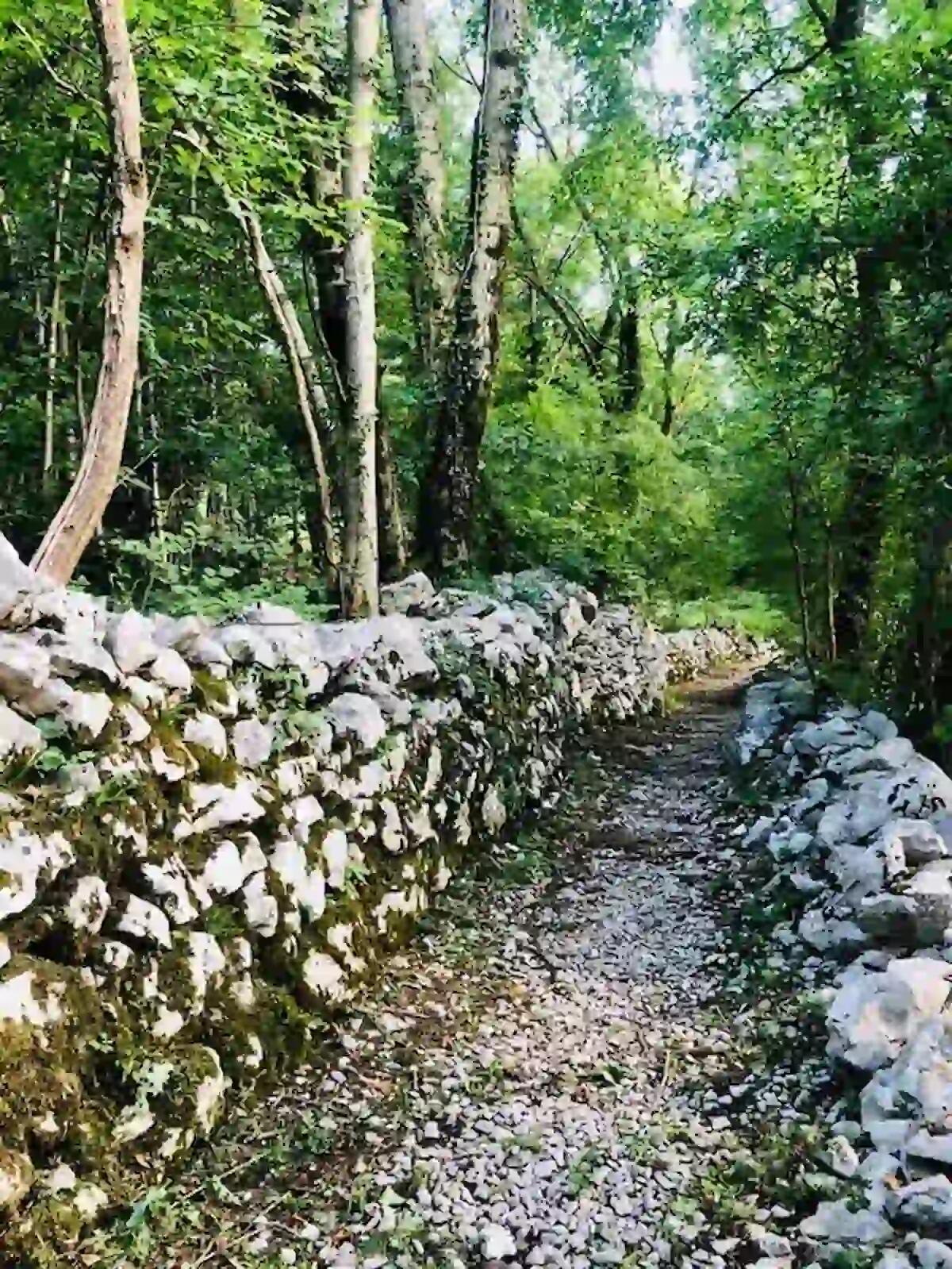 Trail Fvg, al Clapadoria già 100 iscritti - 