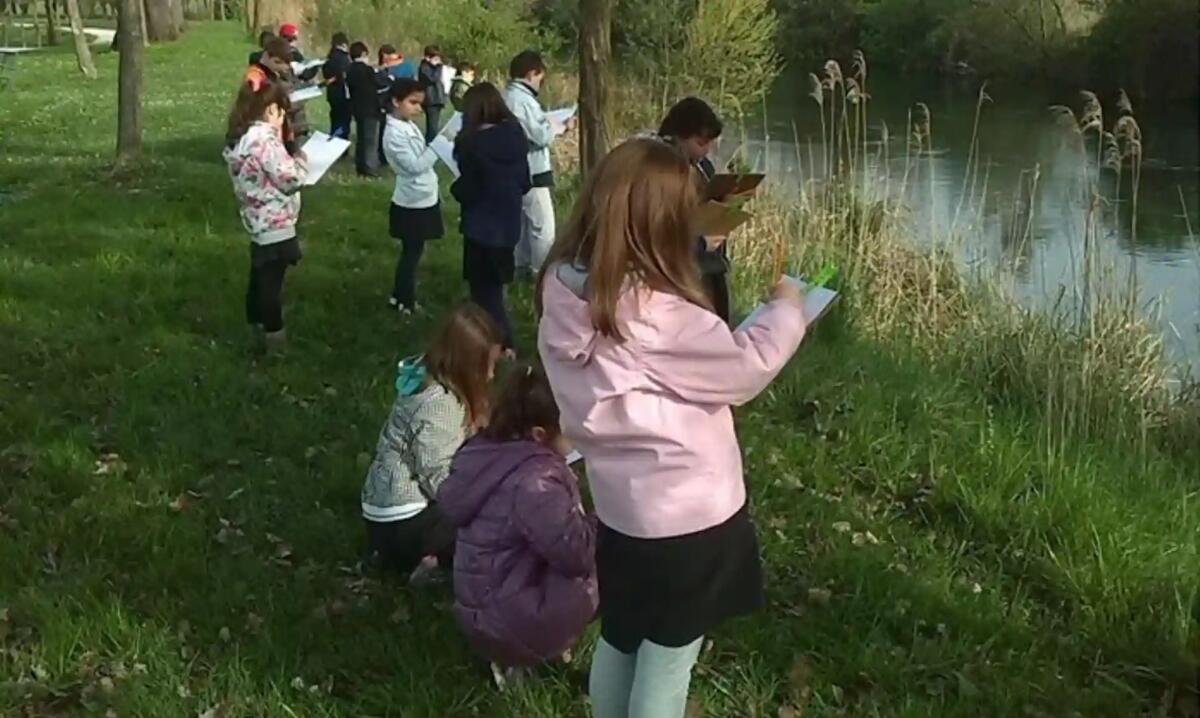 Il progetto "Acqua-Territorio-Ambiente": un impegno per l'educazione ambientale a Fiume Veneto - 