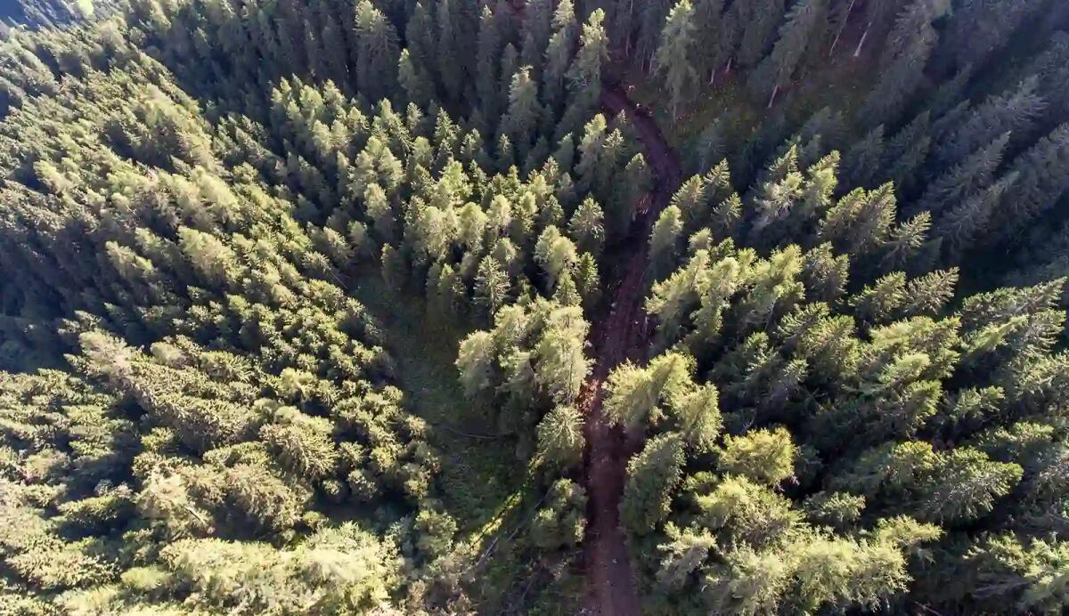 Case in legno: pro e contro - 