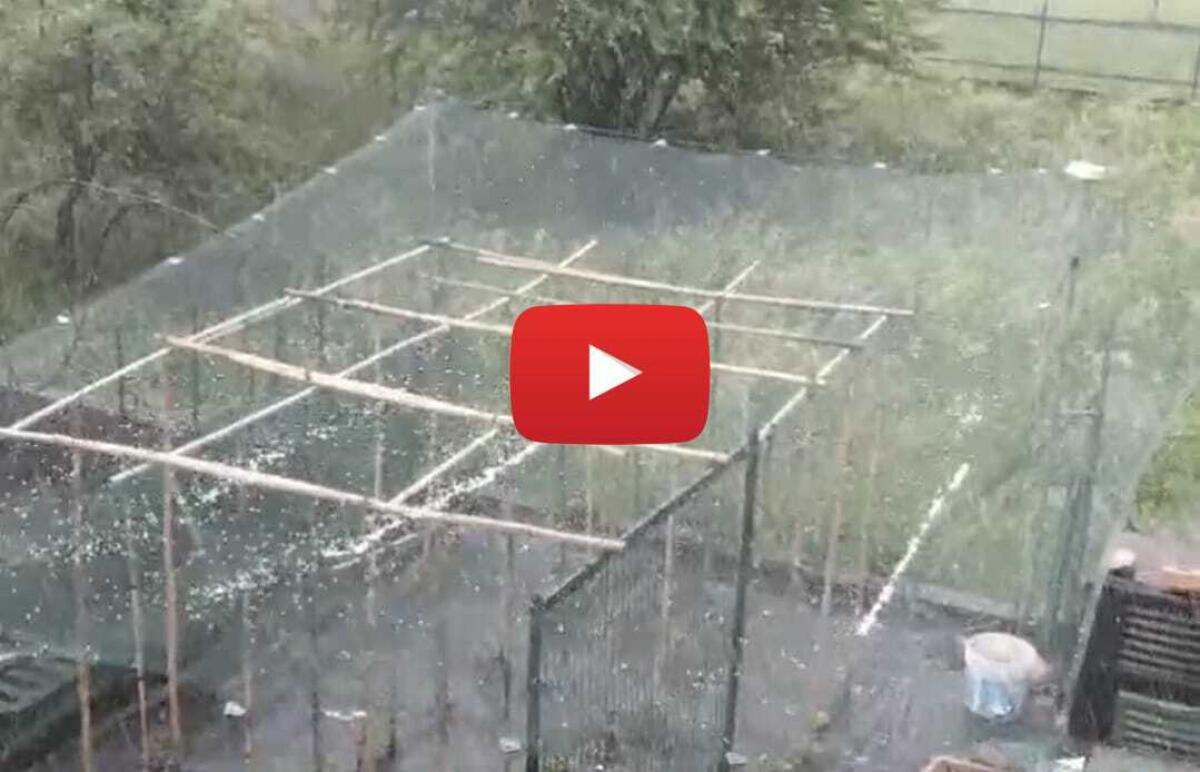 Violento nubifragio colpisce la provincia di Udine con piogge intense e grandine - 