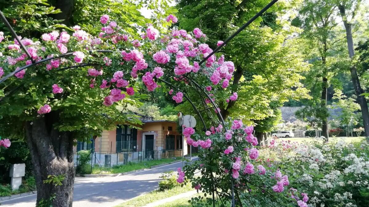 Cosa fare, dove andare in FVG il 19 maggio: al via "Giardini Aperti" - 