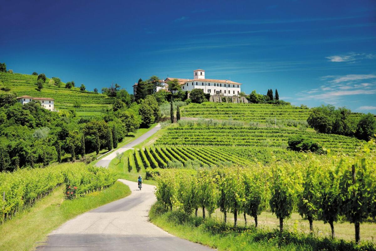 Cosa fare, dove andare in FVG l'11 e 12 maggio: ecco che arriva Vigneti Aperti - 