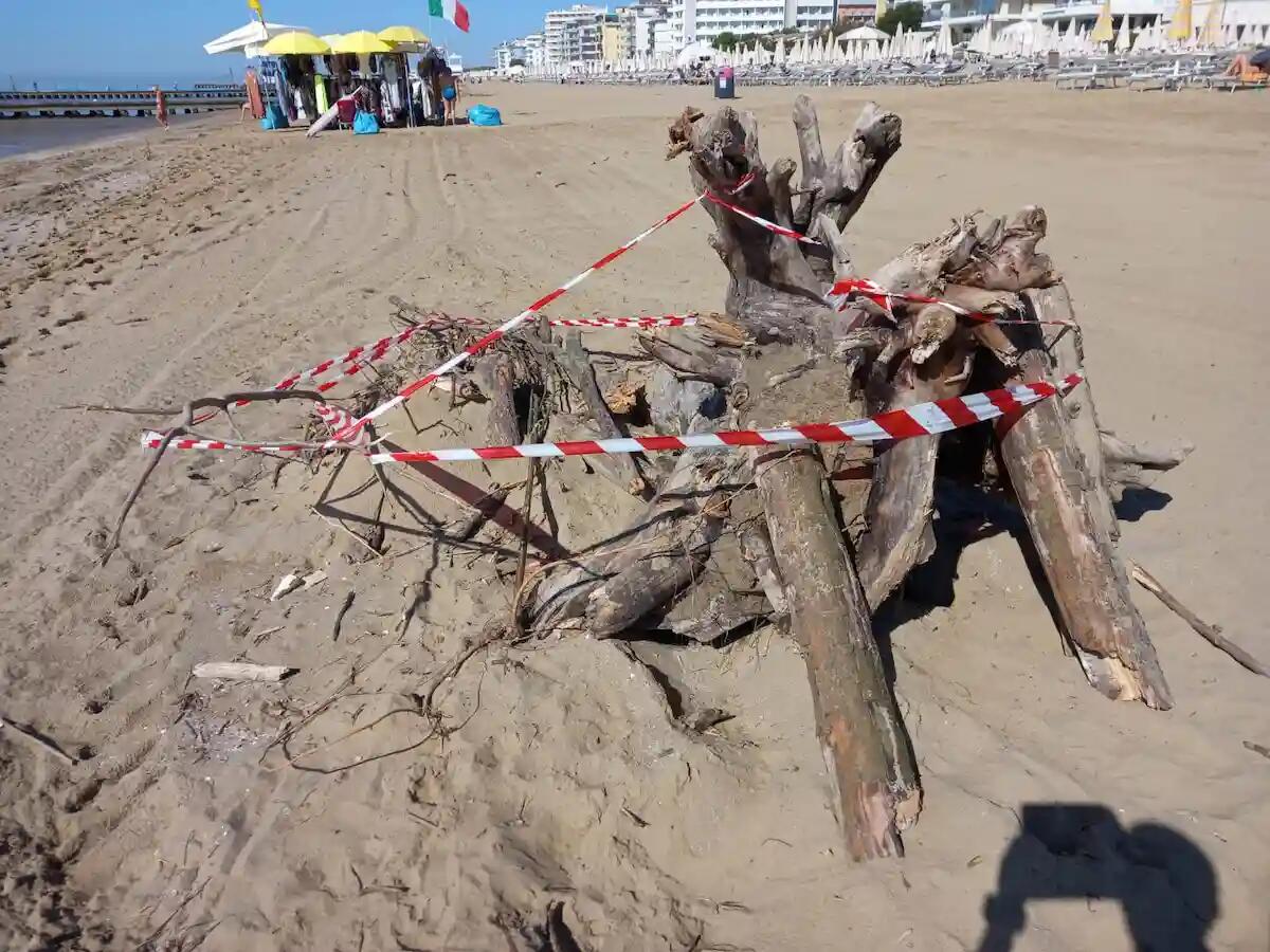 Jesolo, «interventi urgenti per la pulizia delle spiagge dopo le recenti perturbazioni» -