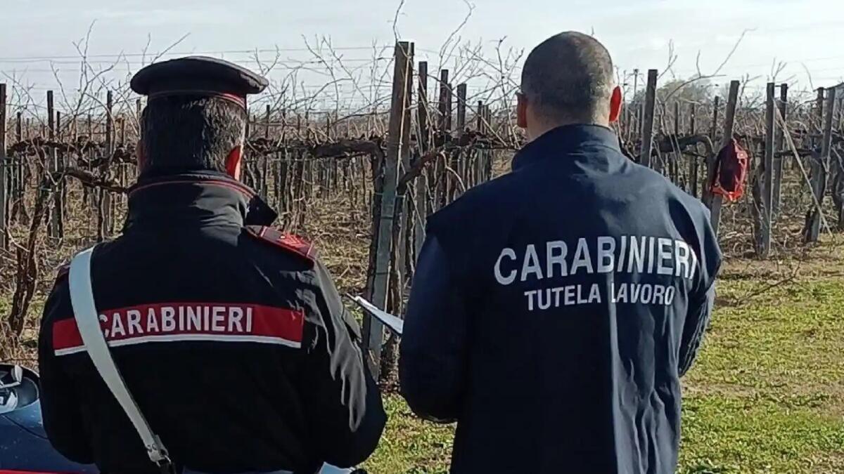 Operai in nero nelle aziende, altri sui tetti senza protezioni: stop a 7 attività, multe per 220mila euro -