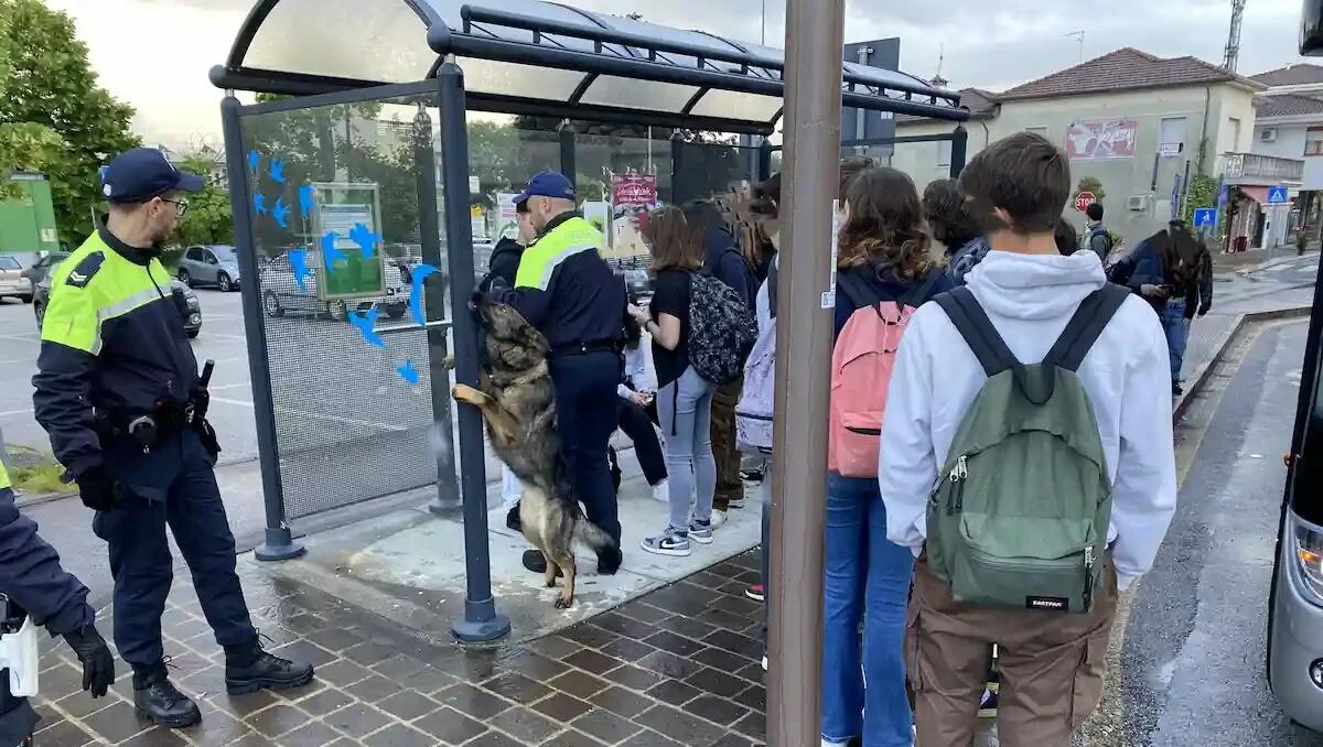 Fiume Veneto, controlli con i cani antidroga alle fermate ed ingressi delle scuole - 