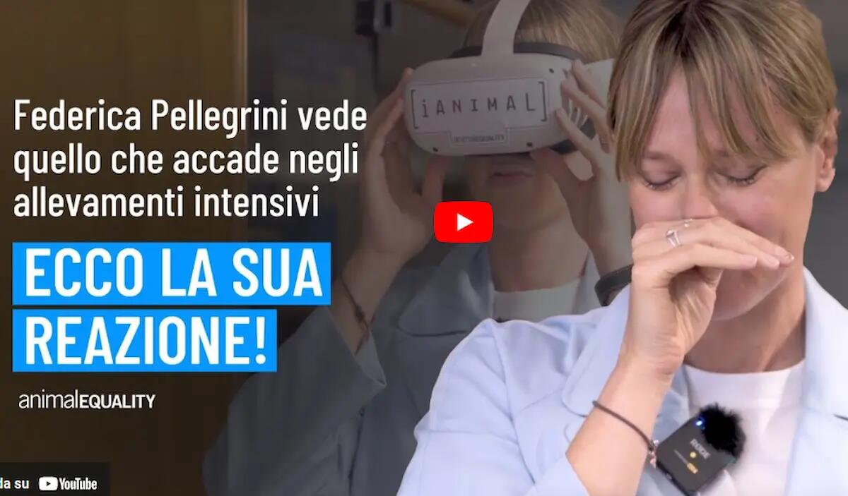 Federica Pellegrini si commuove davanti alle immagini di Animal Equality. Video - 