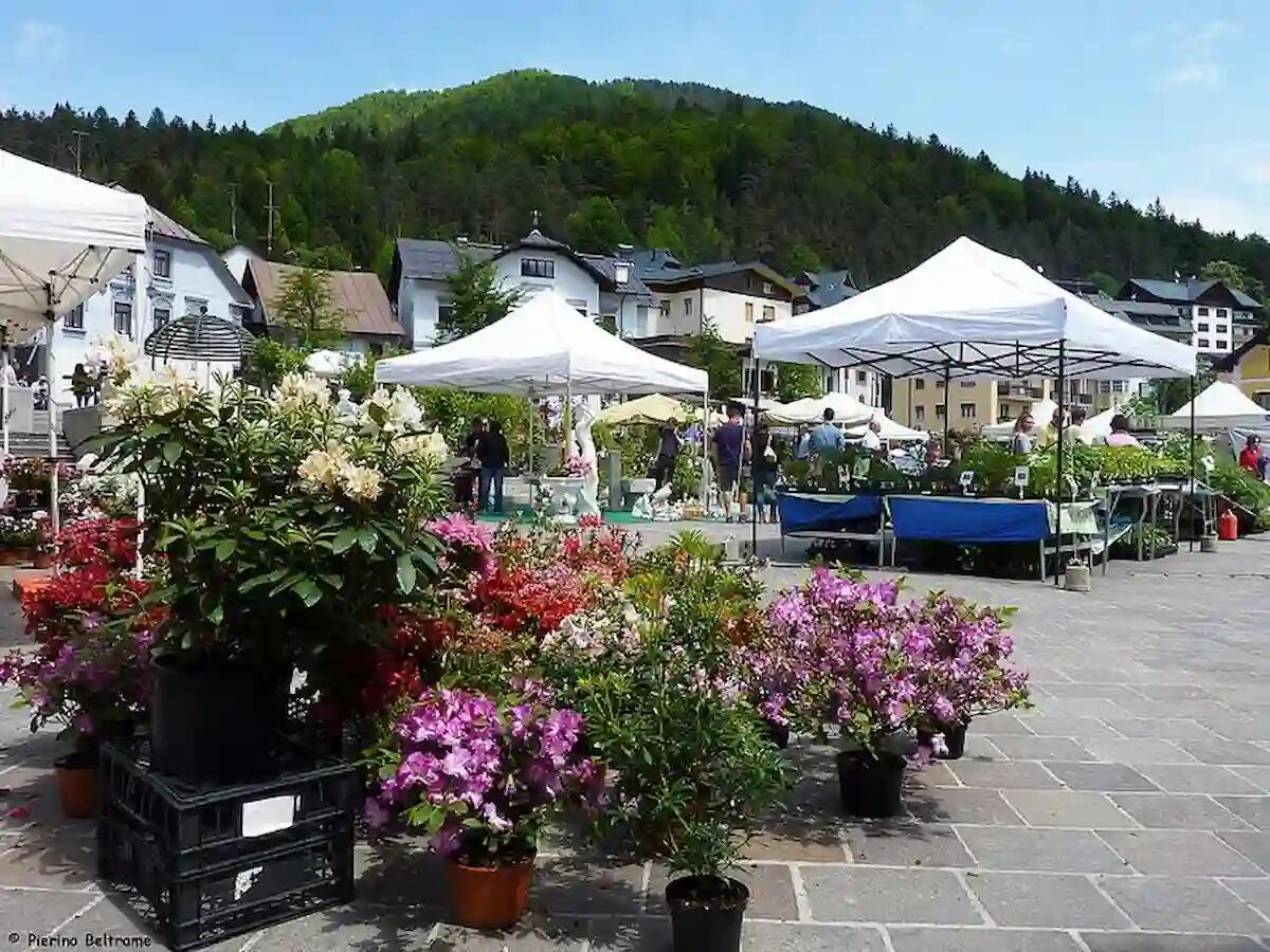 Tarvisio in Fiore: ecco le prime stupende foto del Festival colorato e profumato -