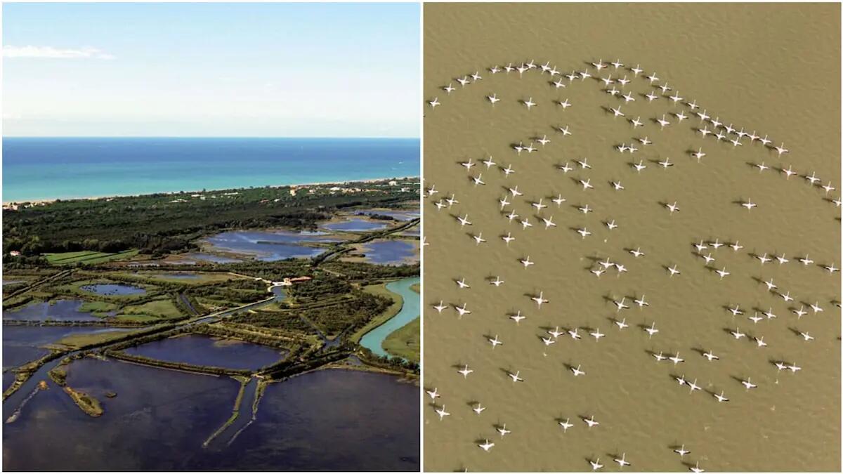 Bibione nasce una seconda volta: Valgrande diventa patrimonio naturale e umano comune - 