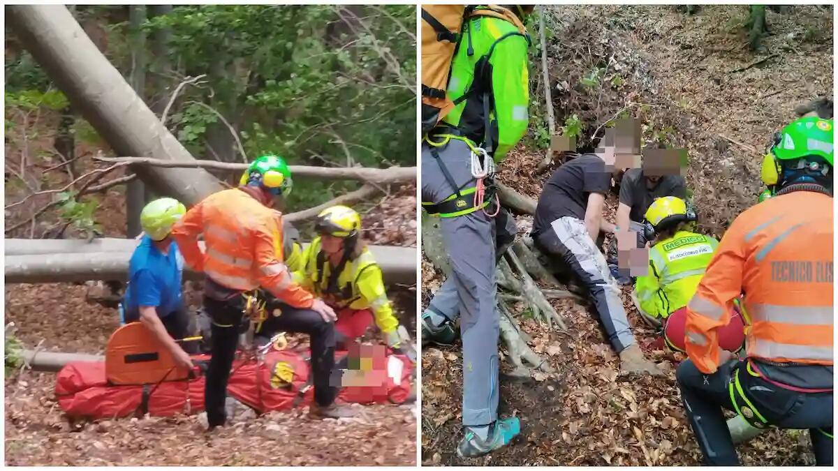 Travolto da una ceppaia nel bosco: soccorso 69enne - 