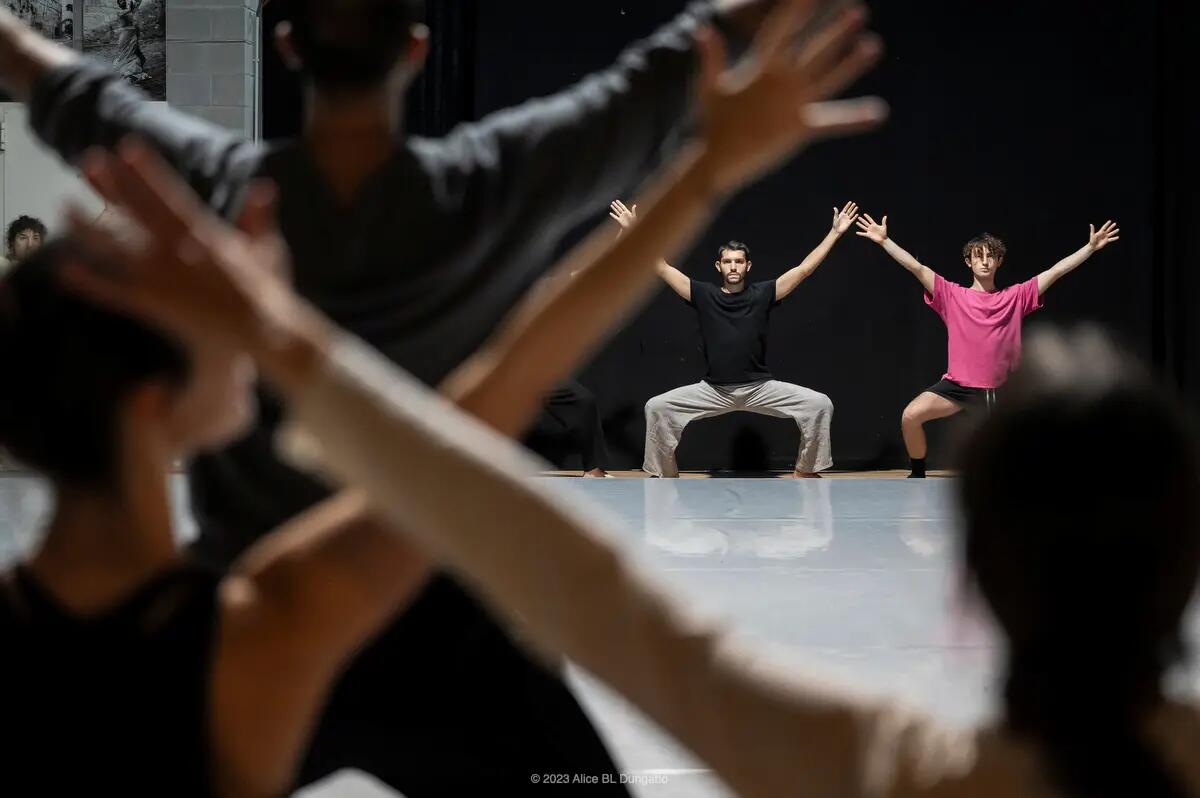 Alta Formazione di Arearea: aperte le candidature alla 6^ edizione - 