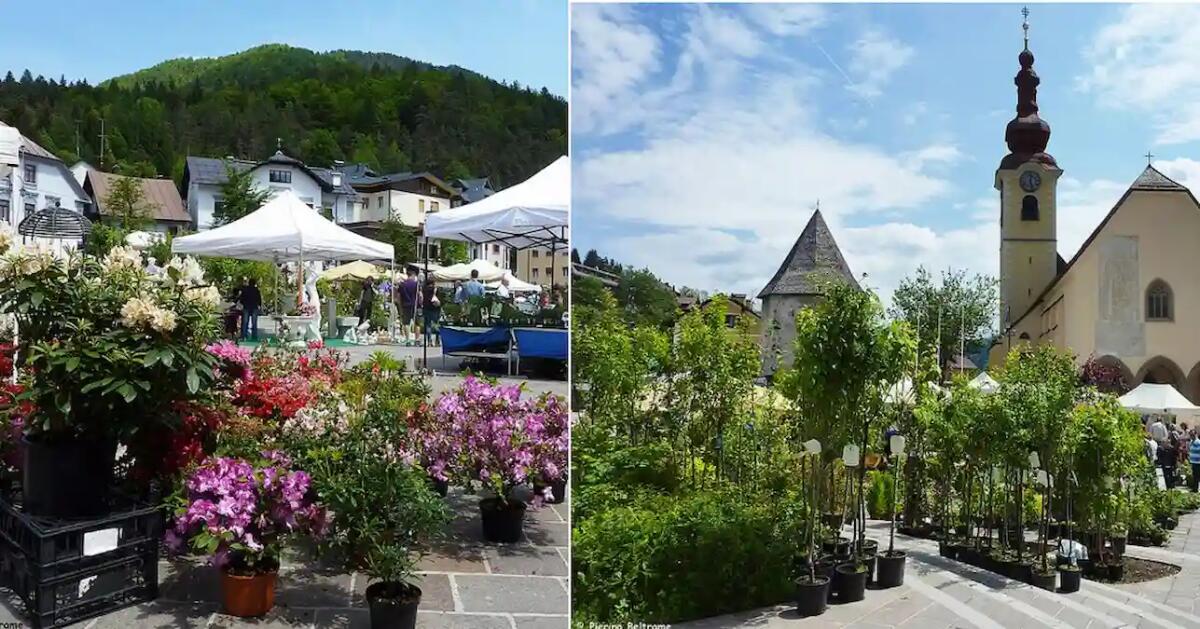 Tarvisio si trasforma in un rigoglioso giardino urbano: piante, fiori e artigianato. Quando e dove - 