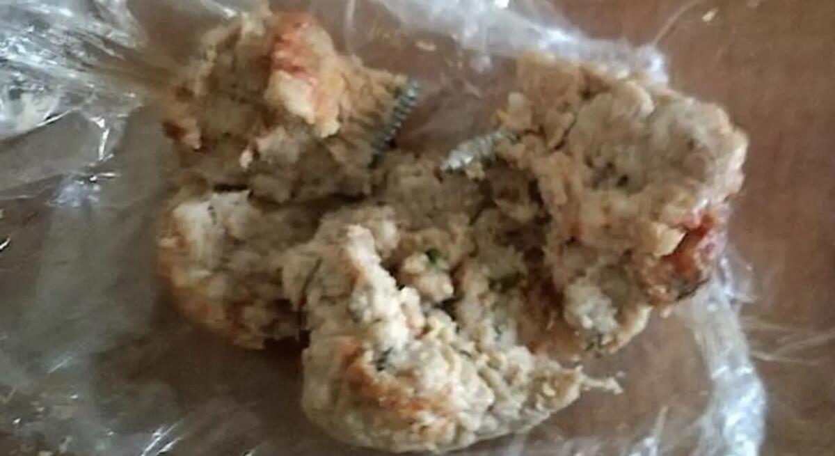 Chiodi nascosti nelle polpette, morto un bulldog francese. Allarme a Udine - 