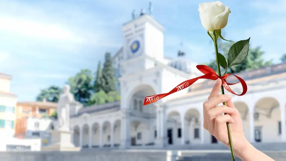 Atrio in festa: un omaggio alle donne con una rosa in centro a Udine - 