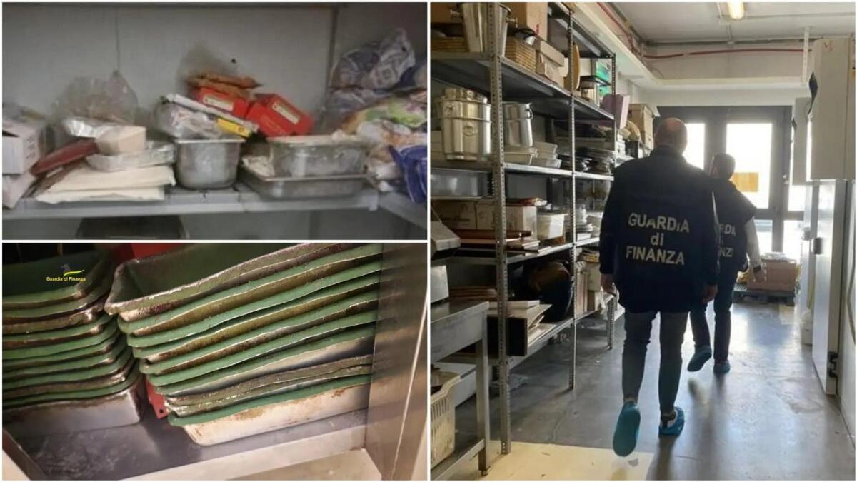 Insetti e muffa nel pranzo dei bambini: sospesa la coop che portava il cibo alle scuole -