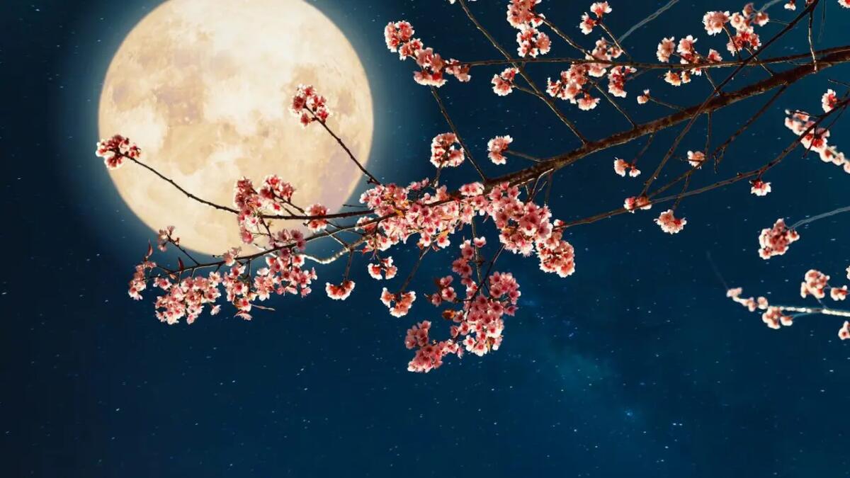 Arriva la Luna piena dei Fiori, l'imperdibile spettacolo di maggio. Quando vederla -
