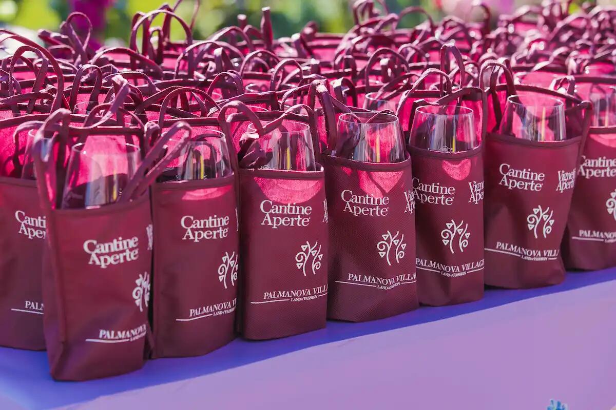 Cantine Aperte 2024 in Friuli: il programma del 25 e 26 maggio e quali sono - 