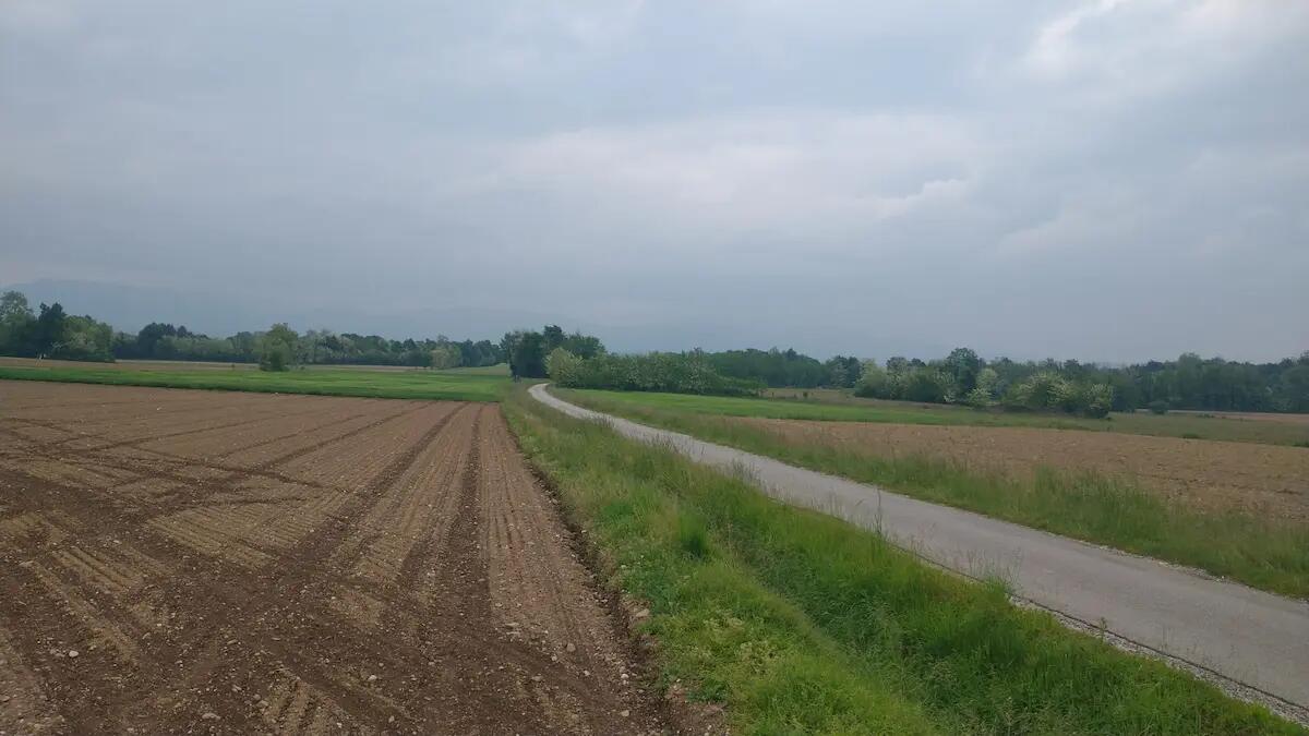 Legambiente Fvg: «le merci della Sequals-Gemona vanno portate su ferrovia» - 