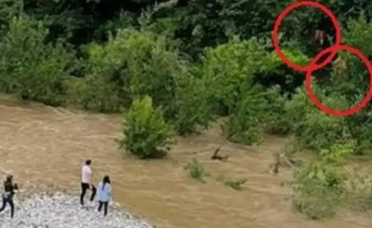 Due operai scesero nel Natisone in aiuto ai giovani bloccati sul greto del fiume - 